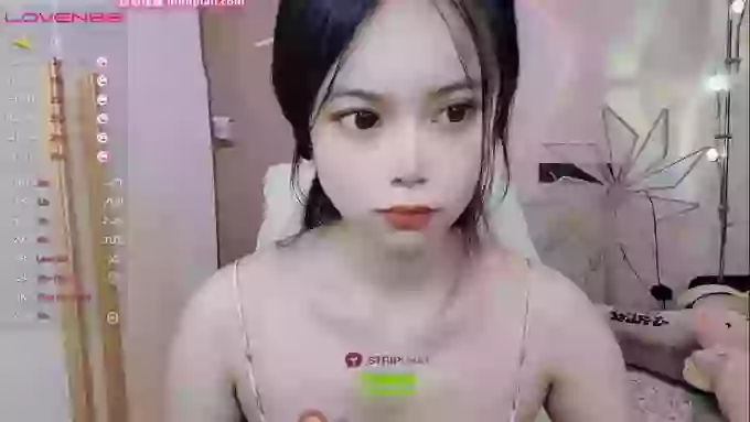 SibylX