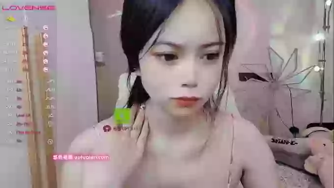 SibylX