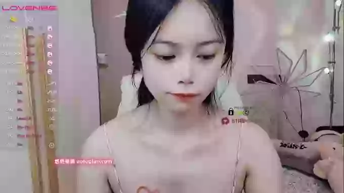 SibylX