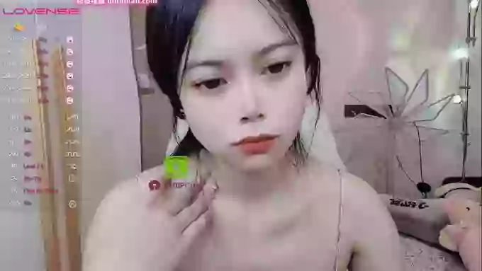 SibylX
