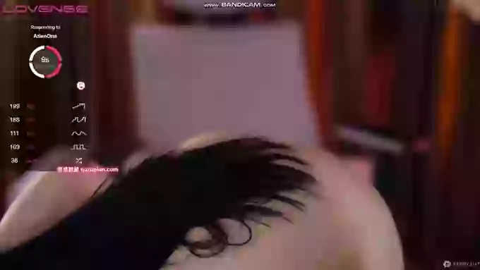 _z_____