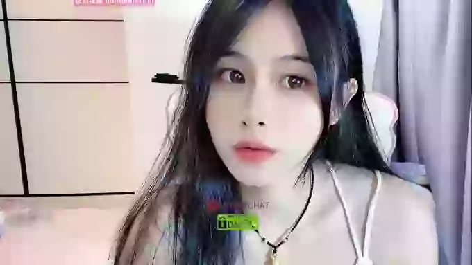 daisy_top