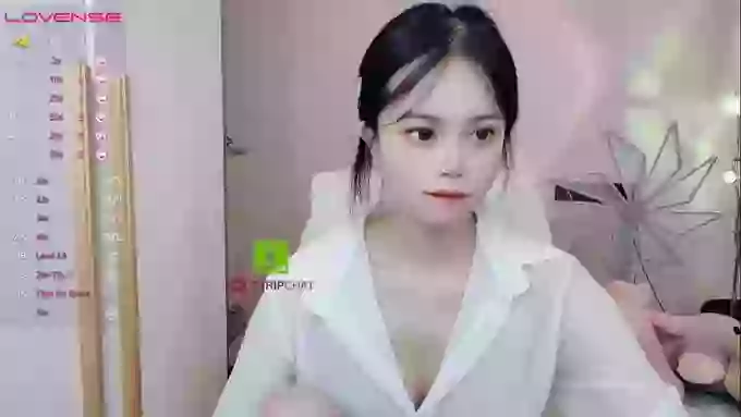 SibylX