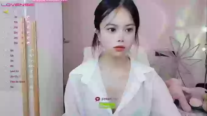 SibylX