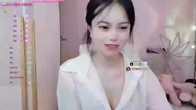 SibylX