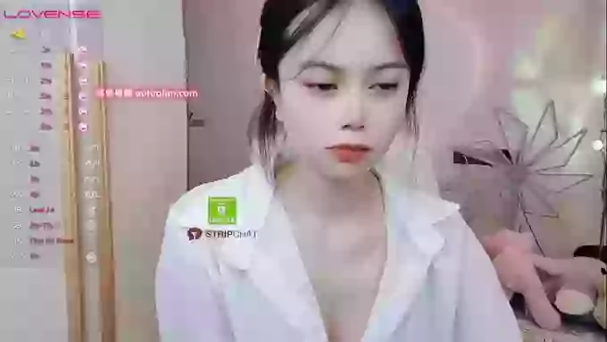 SibylX