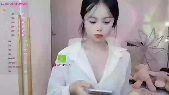 SibylX