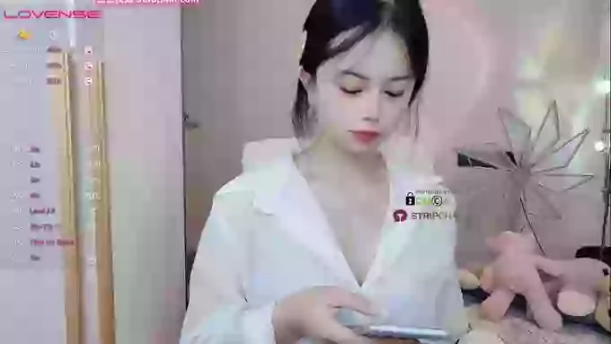 SibylX