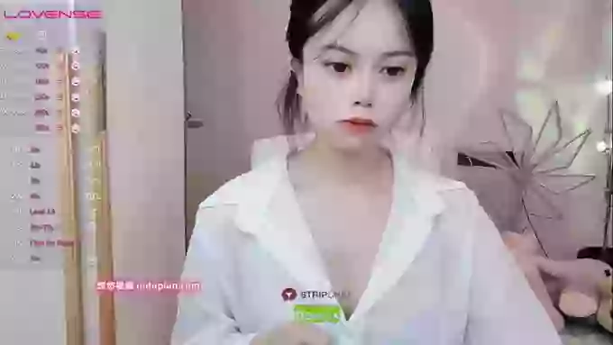 SibylX