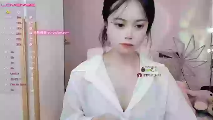 SibylX
