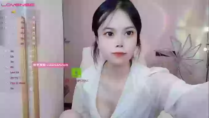 SibylX
