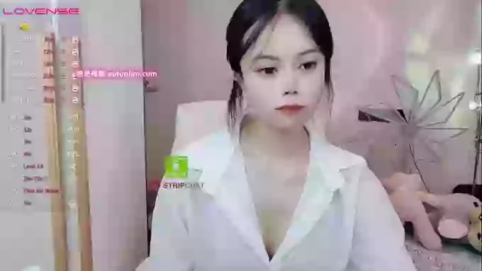 SibylX