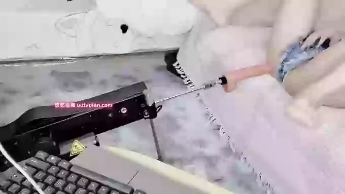 leilei-