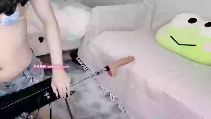 leilei-