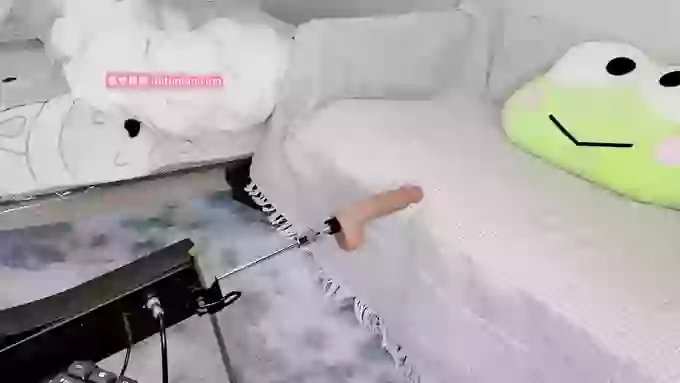 leilei-