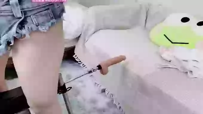 leilei-