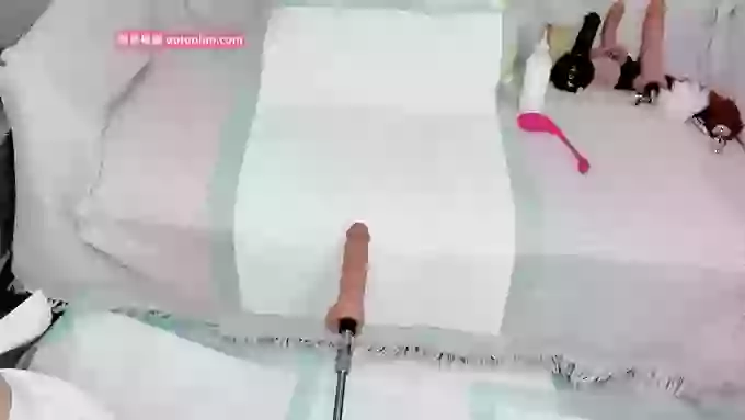 leilei-