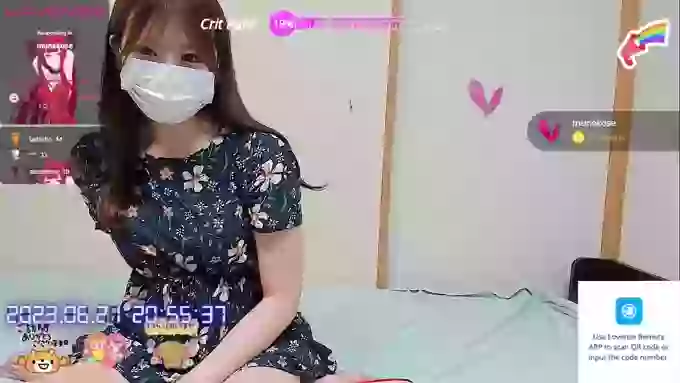 -nanami