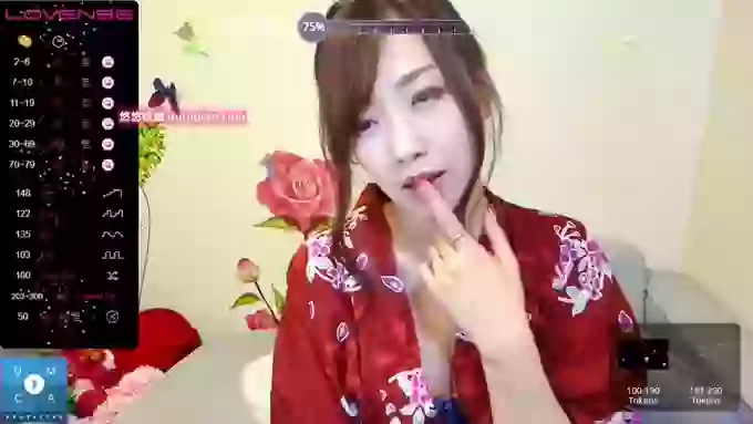 -N_Miyabi-