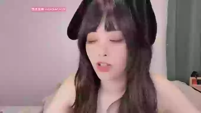 leilei-