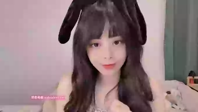 leilei-