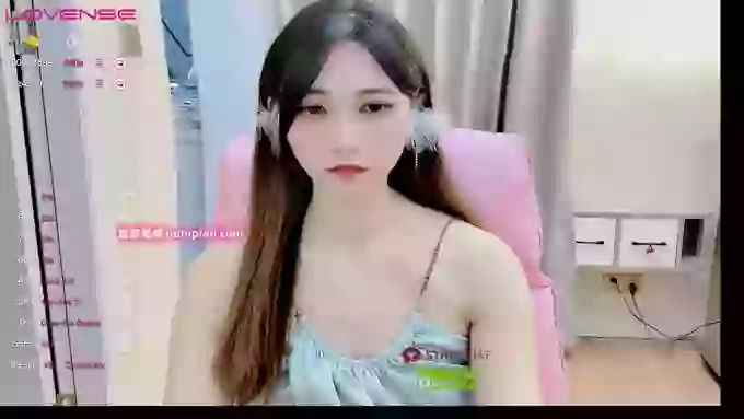 -MiTo66-
