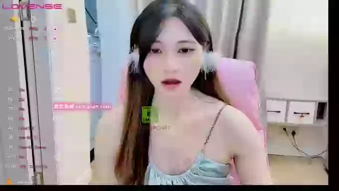 -MiTo66-
