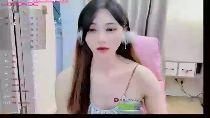 -MiTo66-