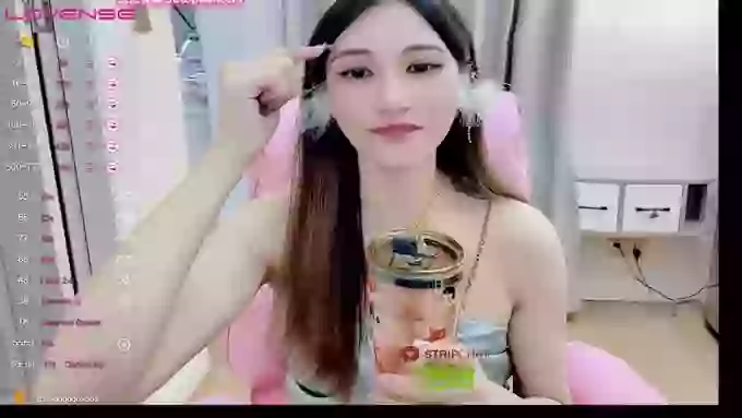 -MiTo66-