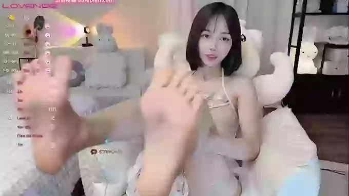 Fishroe