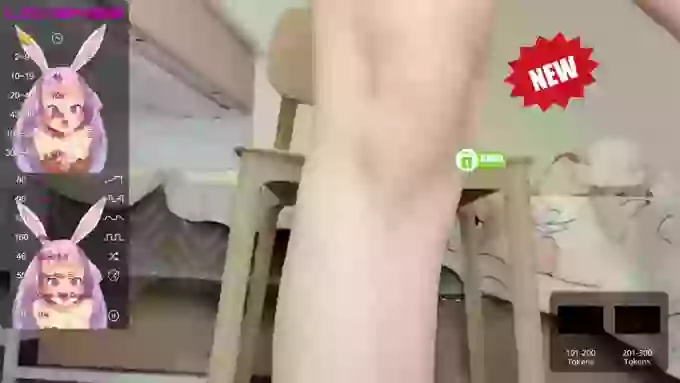 leilei-