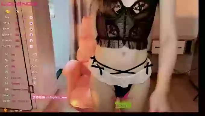 -MiTo66-