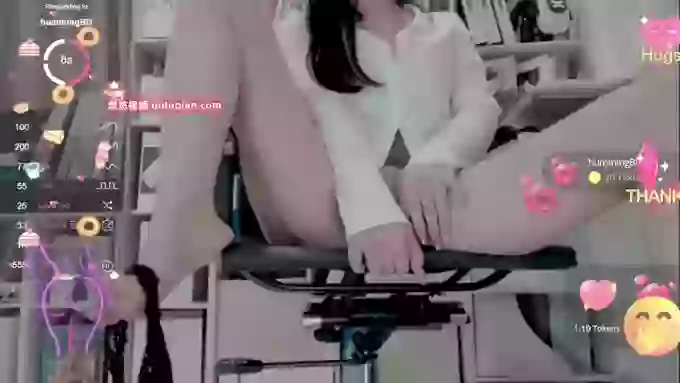 Cici-Secretary