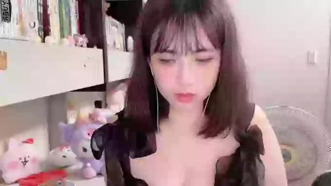 nekoQ