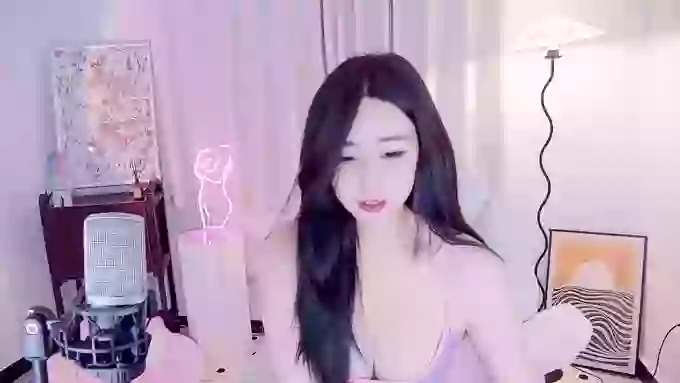 feifeidiss