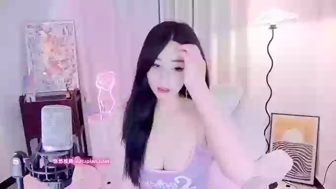 feifeidiss