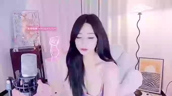 feifeidiss