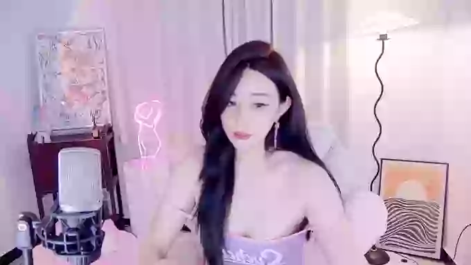 feifeidiss