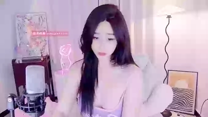 feifeidiss