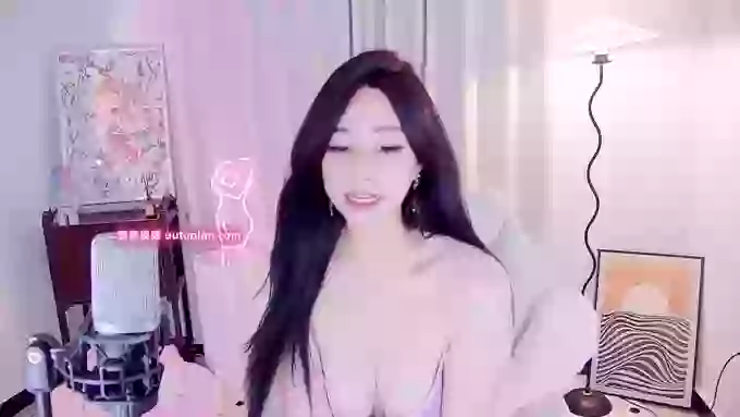 feifeidiss