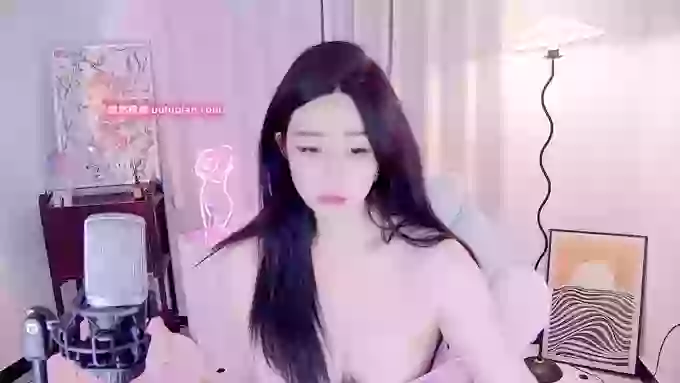 feifeidiss