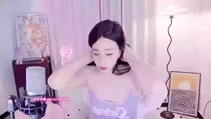 feifeidiss
