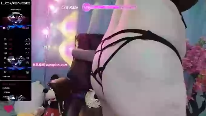 Hamaya888