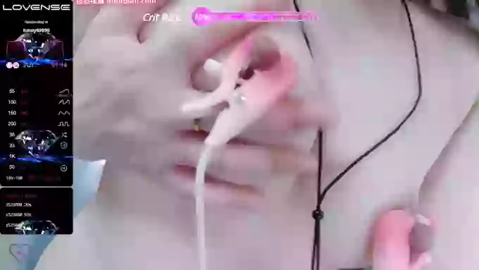 Hamaya888