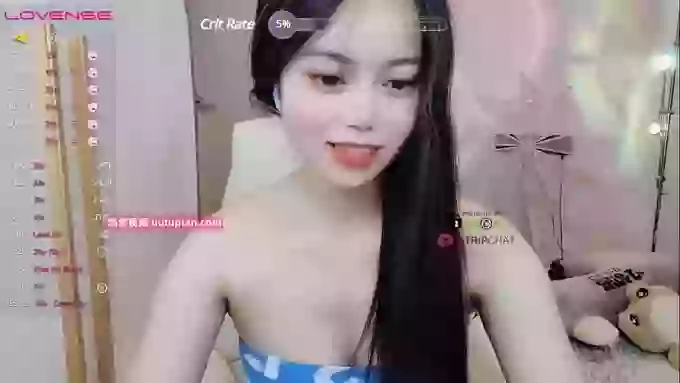 SibylX