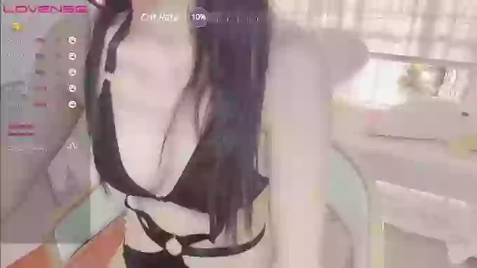 pandatits