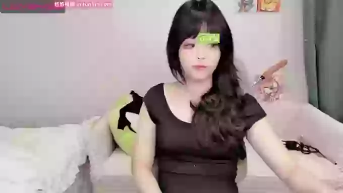 leilei-