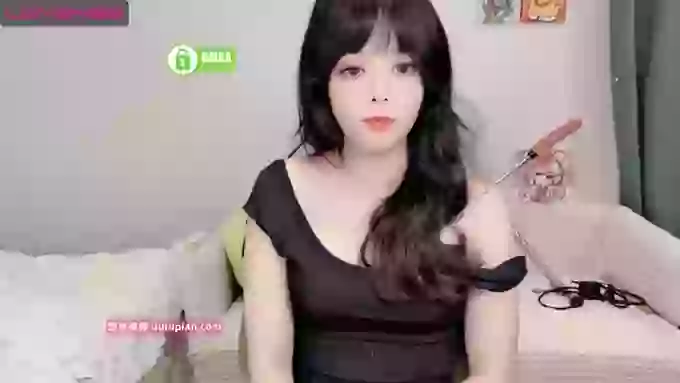 leilei-