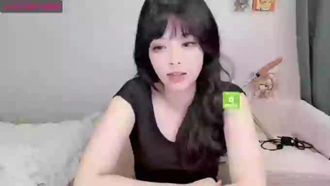leilei-