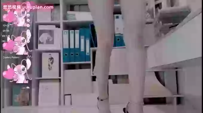 Cici-Secretary